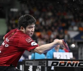 谁说他不行了？樊振东德甲再拿月最佳，对手评价太真实